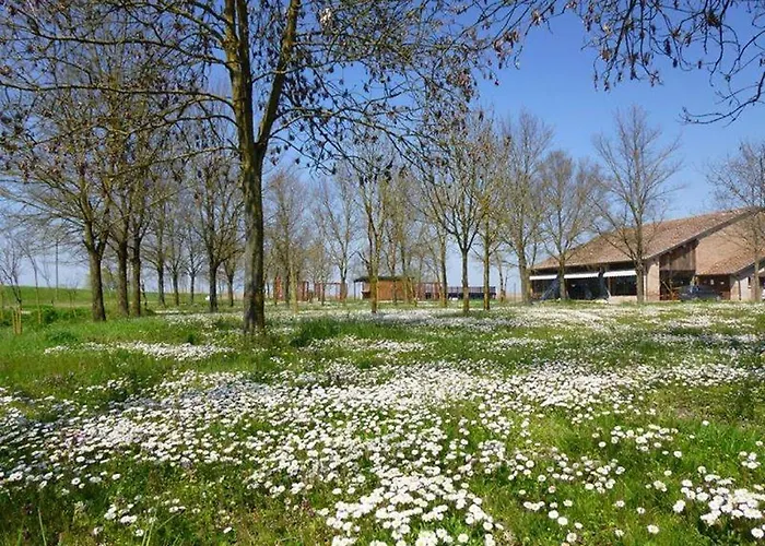 Casa di campagna La Tomina Mirandola