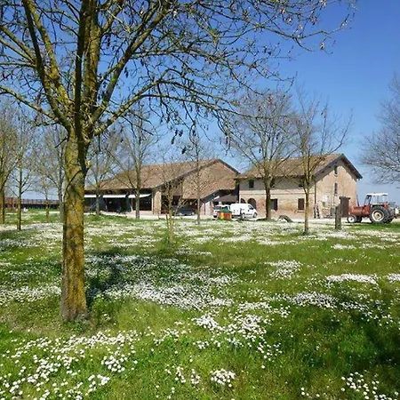 La Tomina * Mirandola