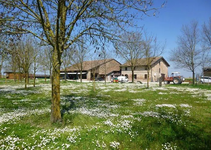 La Tomina * ミランドラ