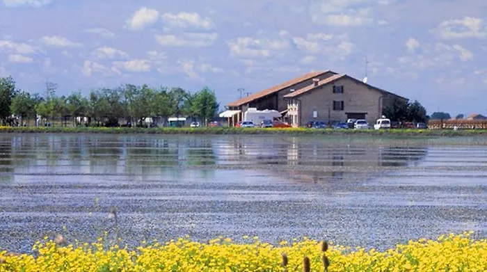 La Tomina * ミランドラ