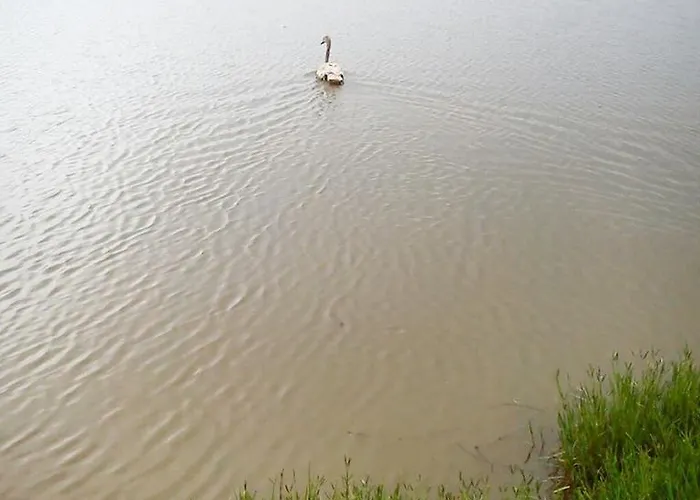 La Tomina בית כפרי