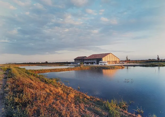 La Tomina מירנדולה